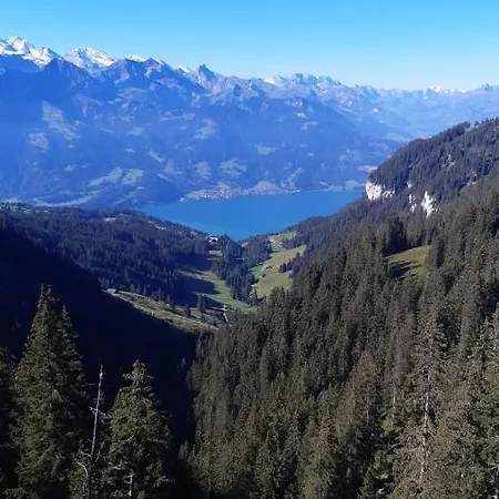 Apartman Lilo 2 Mountain View Beatenberg