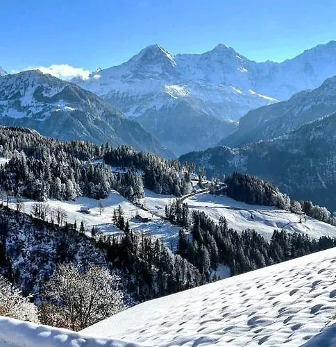 Alpine Balcony 2-Room Apartment * Beatenberg