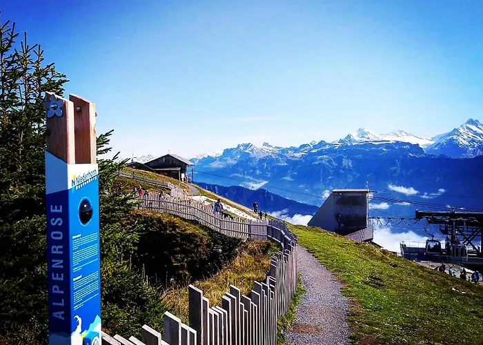 Appartement Alpine Balcony 2-Room Apartment