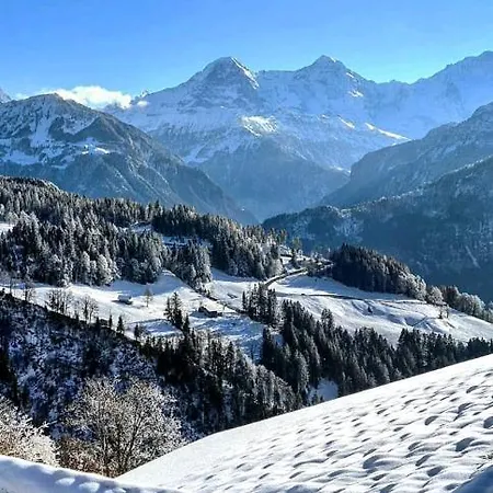 Alpine Balcony 2-room * Beatenberg