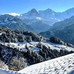 Alpine Balcony 2-Room Apartment * Beatenberg
